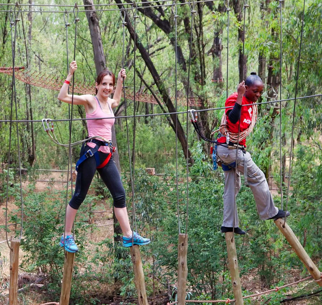 Climbing the Acrobranch treetop obstacles