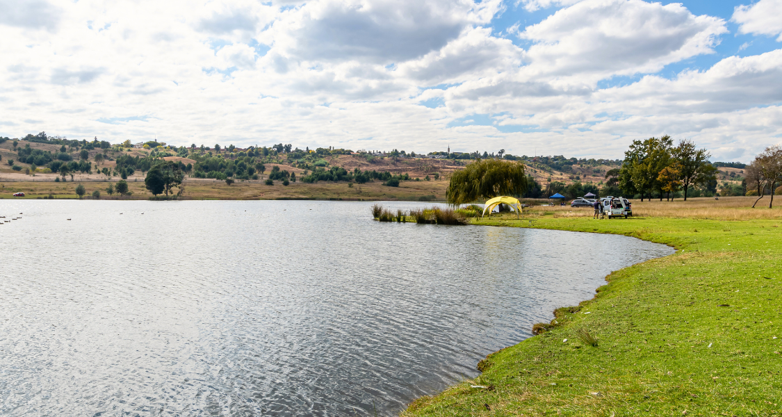 Things to Do Near Krugersdorp: Outdoor Adventures, Wildlife & Family Activities